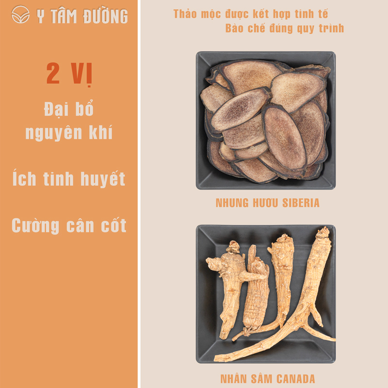 RƯỢU SÂM NHUNG HÀ TĨNH ĐƯỢC NGÂM TỪ NHÂN SÂM VÀ LỘC NHUNG XỨ HÀ TĨNH