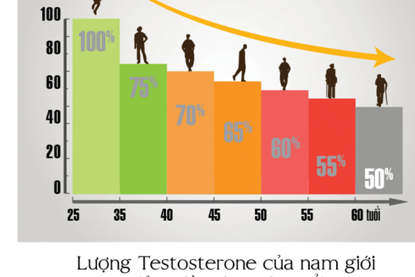 Tổng quan về Testosterone và tình trạng suy giảm Testosterone ở nam giới