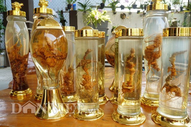 Các loại rượu ngâm quý hiếm, tinh hoa dược liệu Việt Nam