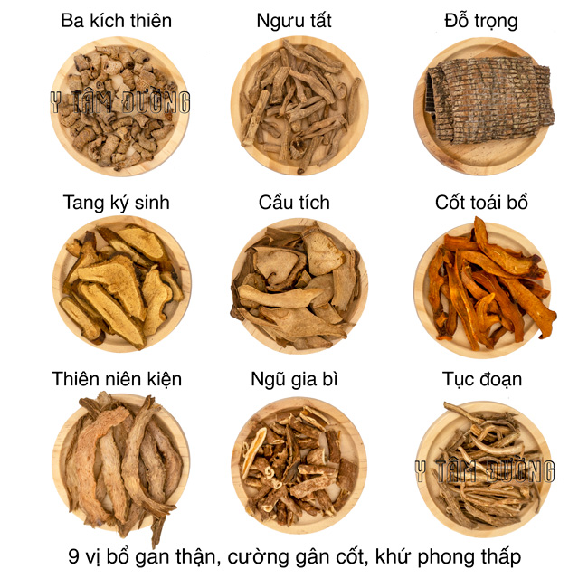 27 Vị Thuốc Bắc Ngâm Rượu